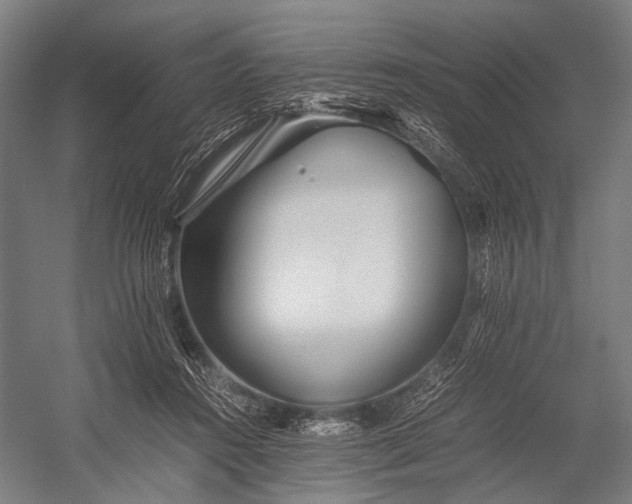 X0000053010360200507221319