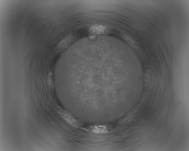 X0000053010361200507221319