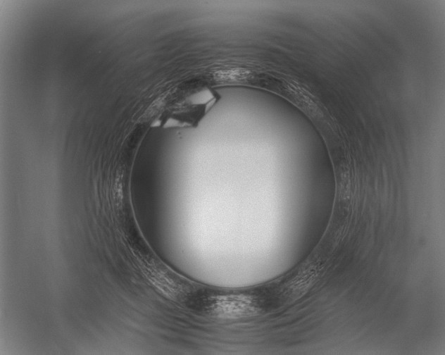 X0000053010363200507221319