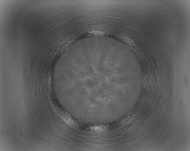 X0000053010365200507221319