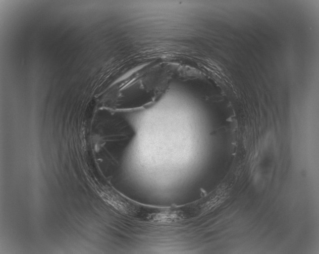 X0000053010366200507221319