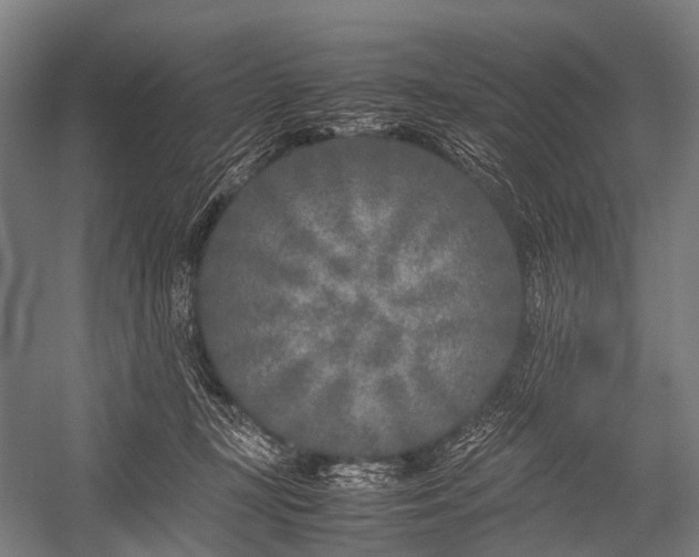 X0000053010367200507221319