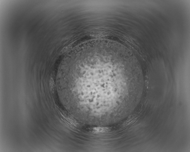 X0000053010371200507221319