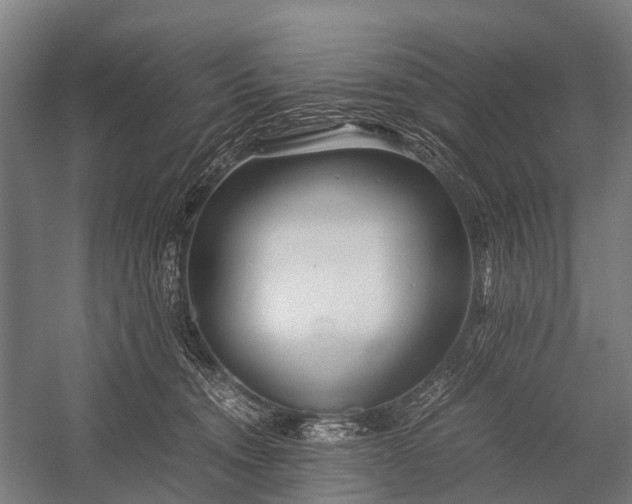 X0000053010372200507221319