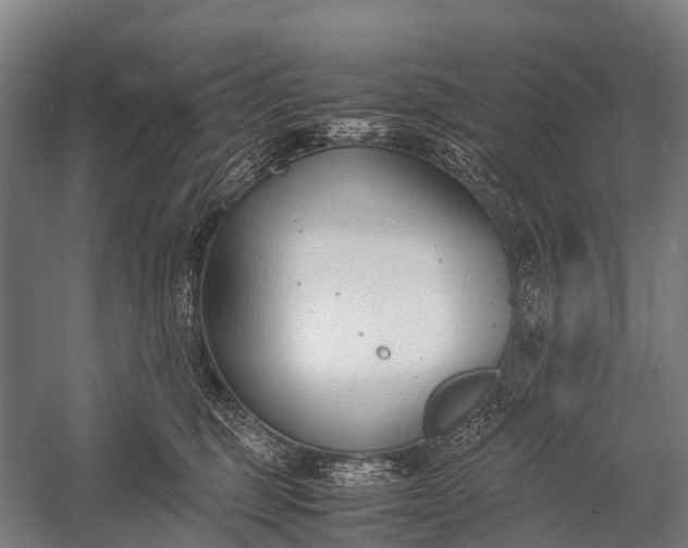 X0000053010375200507221320