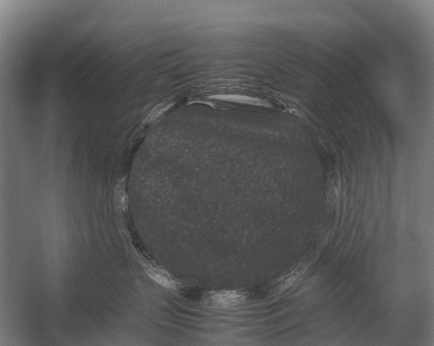 X0000053010383200507221320