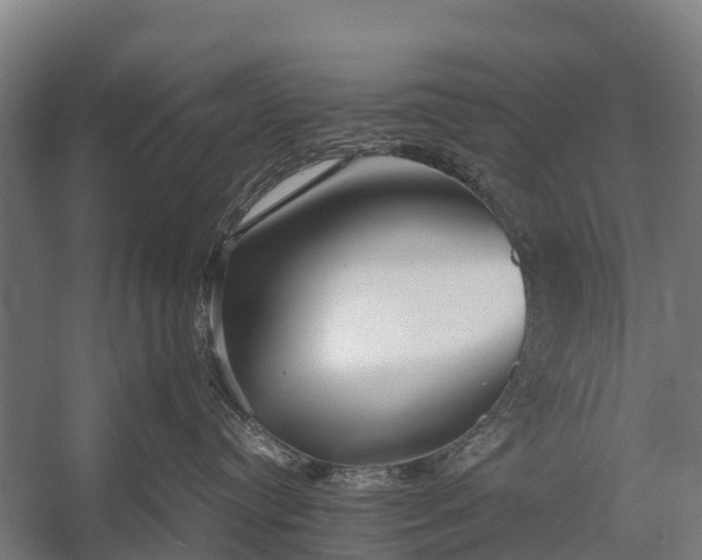 X0000053010384200507221320