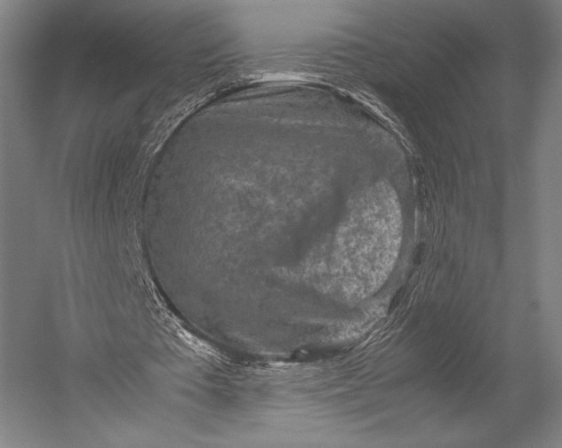 X0000053010385200507221319