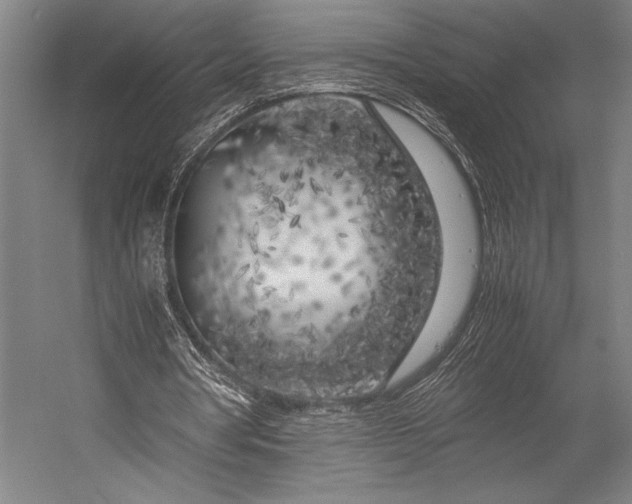 X0000053010386200507221319