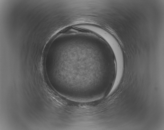 X0000053010387200507221319