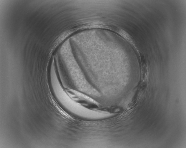 X0000053010389200507221319