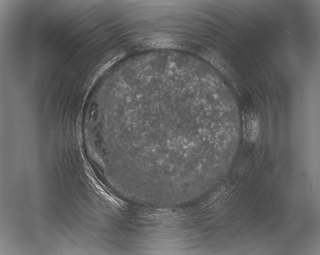 X0000053010390200507221319