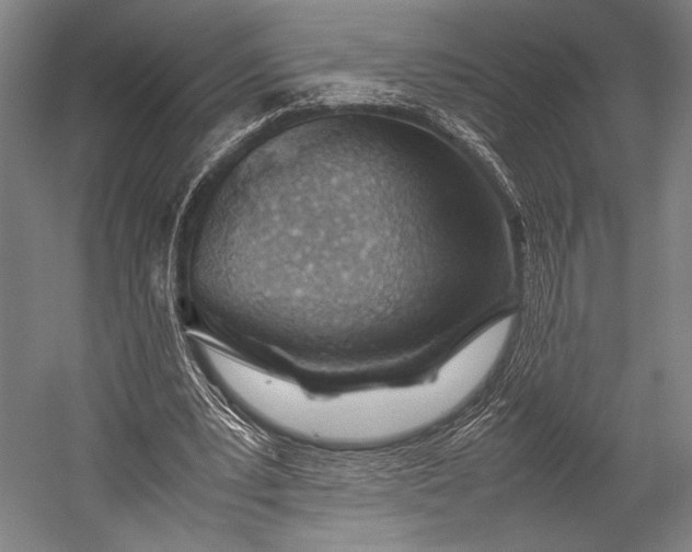 X0000053010391200507221319