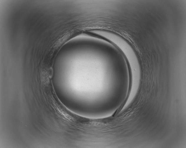 X0000053010393200507221319