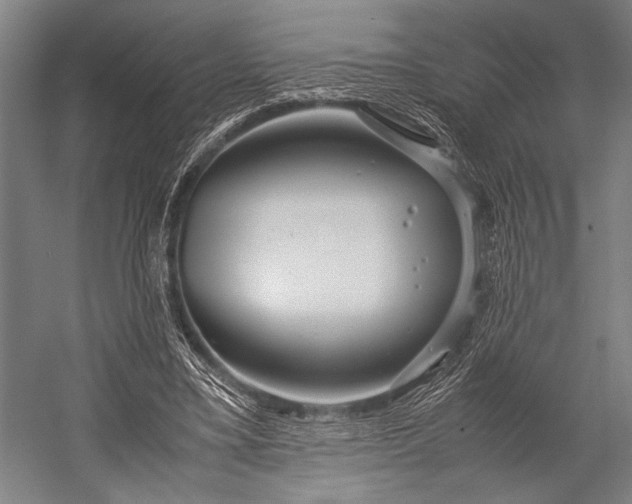 X0000053010395200507221319