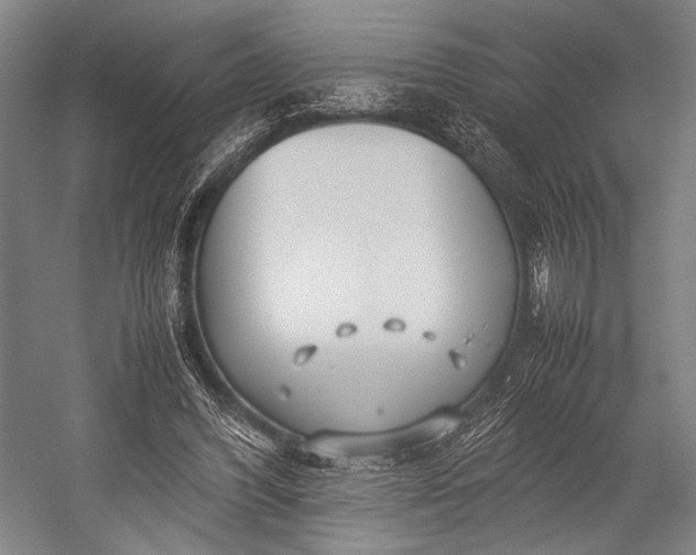 X0000053010396200507221319