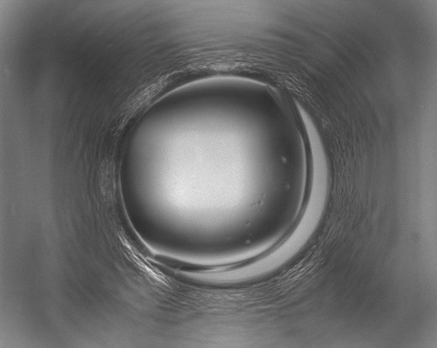 X0000053010397200507221319