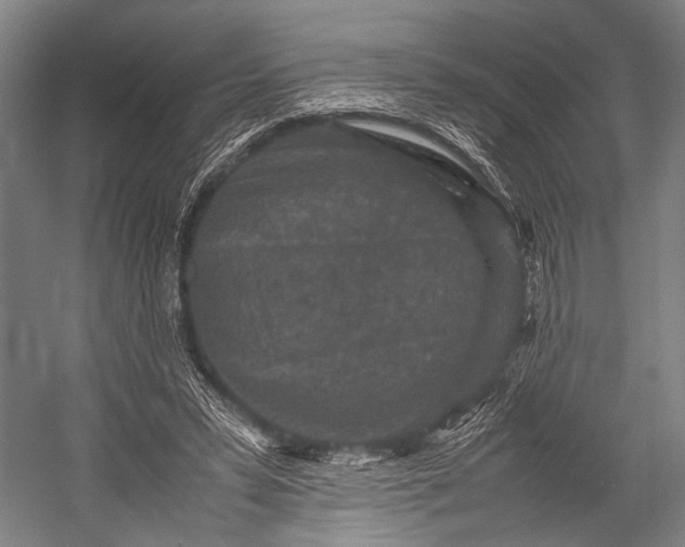 X0000053010399200507221319