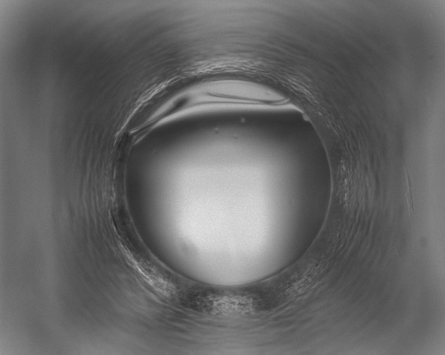 X0000053010400200507221319