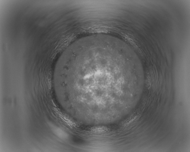 X0000053010402200507221319