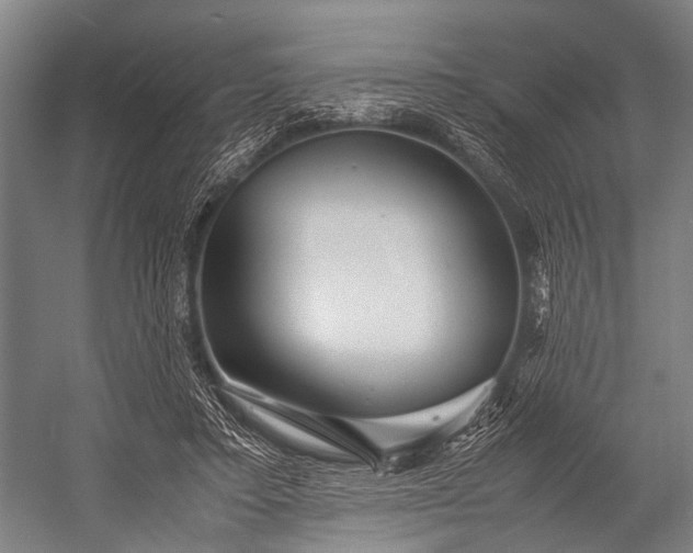 X0000053010403200507221319