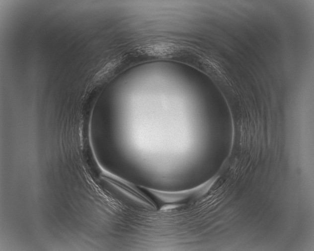 X0000053010404200507221319