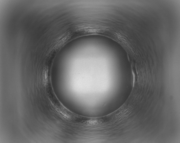 X0000053010406200507221318