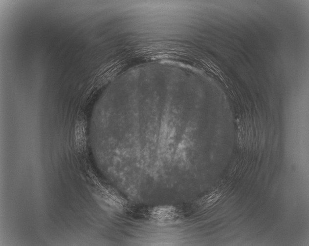 X0000053010410200507221318