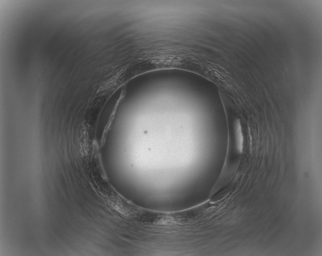 X0000053010416200507221318