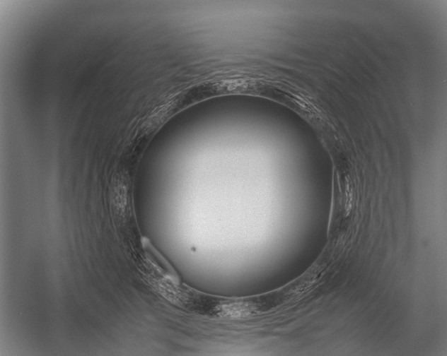 X0000053010417200507221318