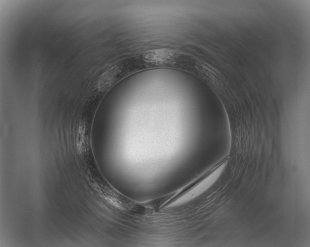 X0000053010420200507221318