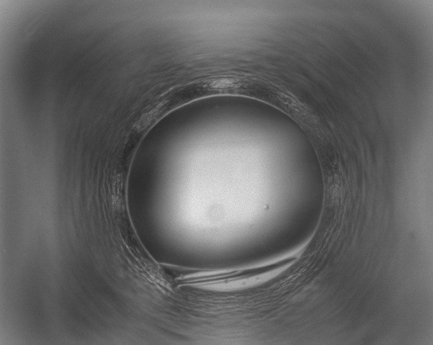 X0000053010421200507221318