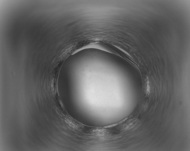 X0000053010428200507221318