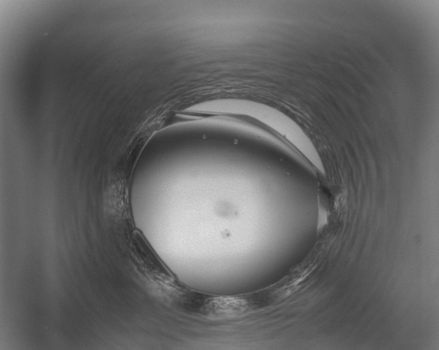 X0000053010429200507221318