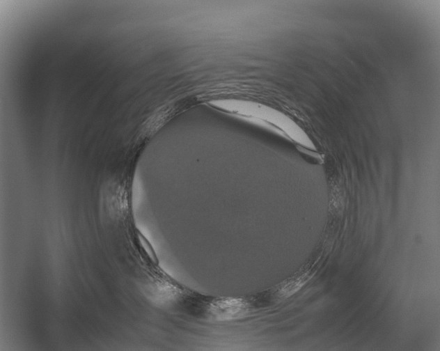 X0000053010431200507221318