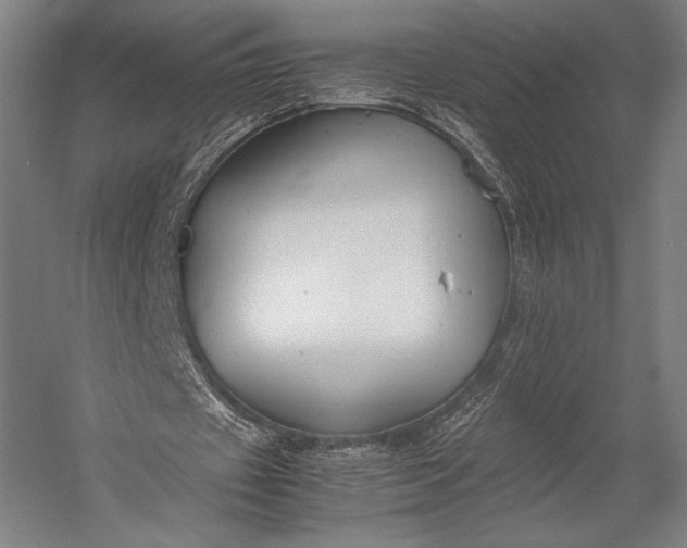 X0000053010433200507221317