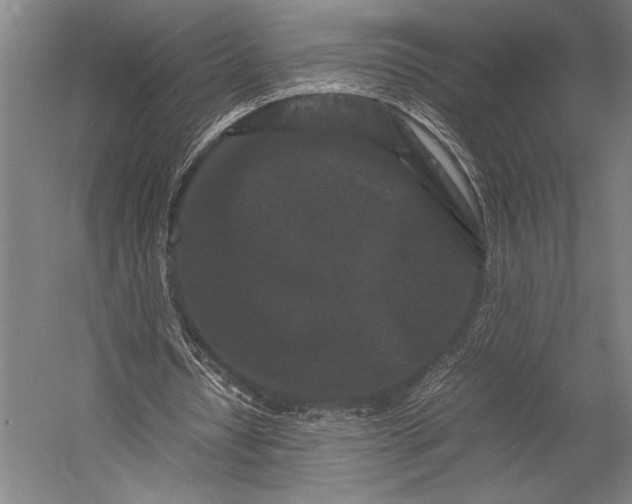 X0000053010434200507221317