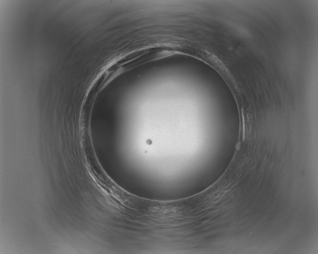 X0000053010435200507221317