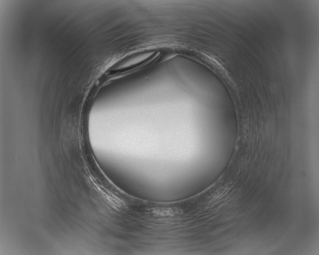 X0000053010439200507221317