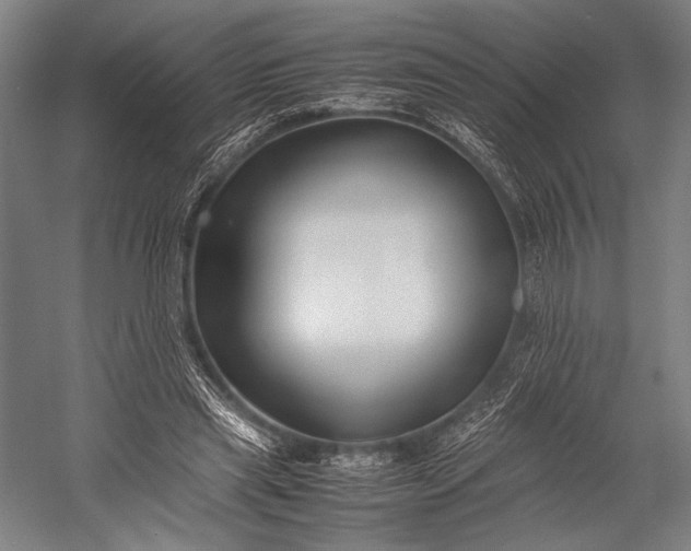 X0000053010445200507221317