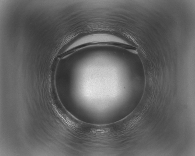 X0000053010447200507221317