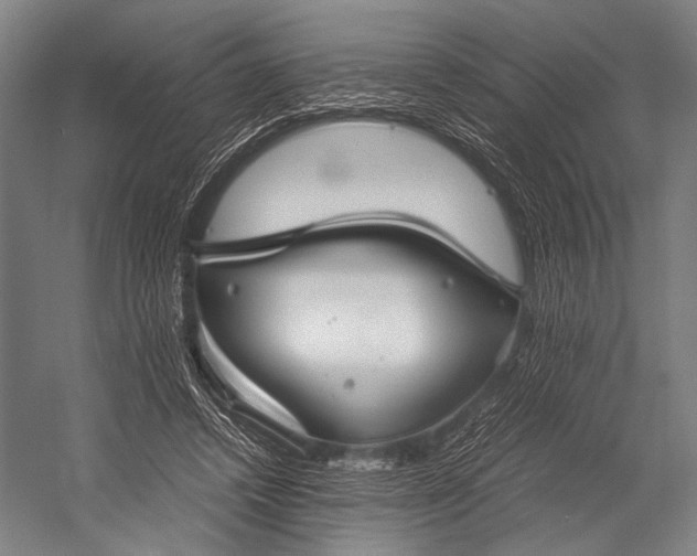 X0000053010448200507221317