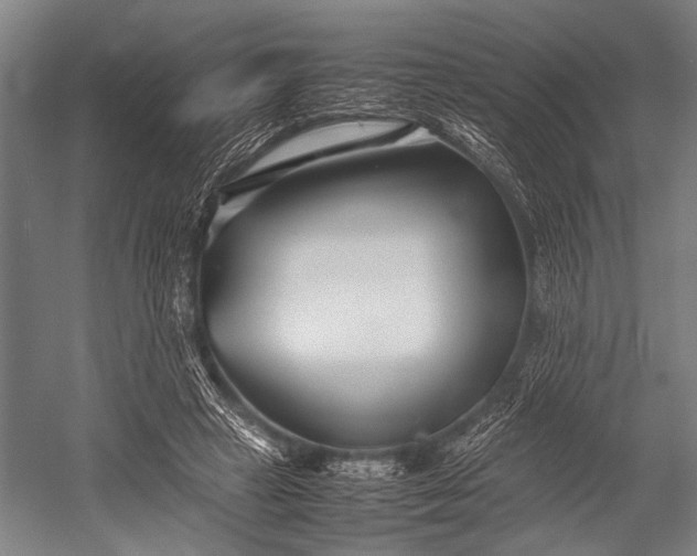 X0000053010449200507221317