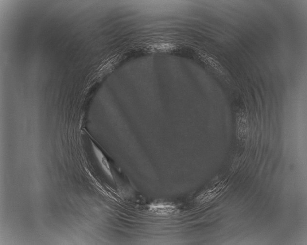 X0000053010451200507221318