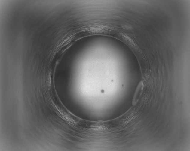 X0000053010454200507221318