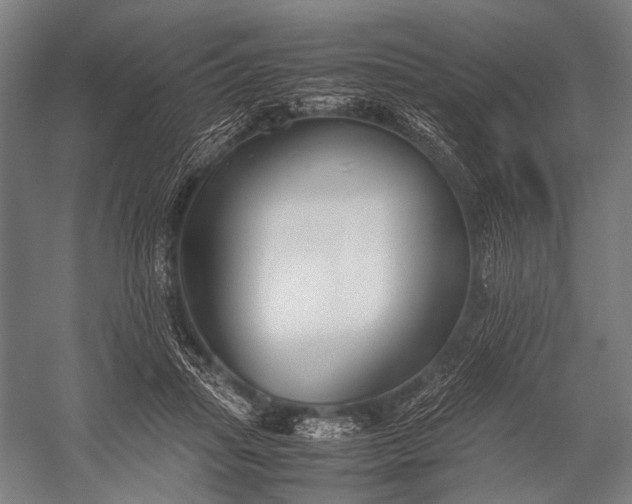 X0000053010455200507221318