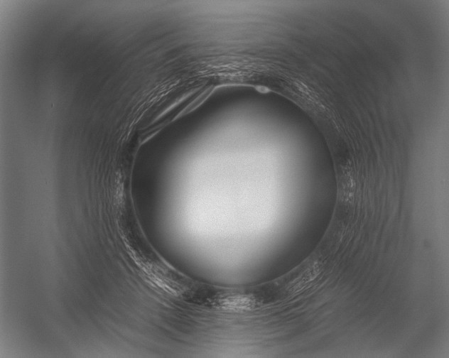 X0000053010456200507221318