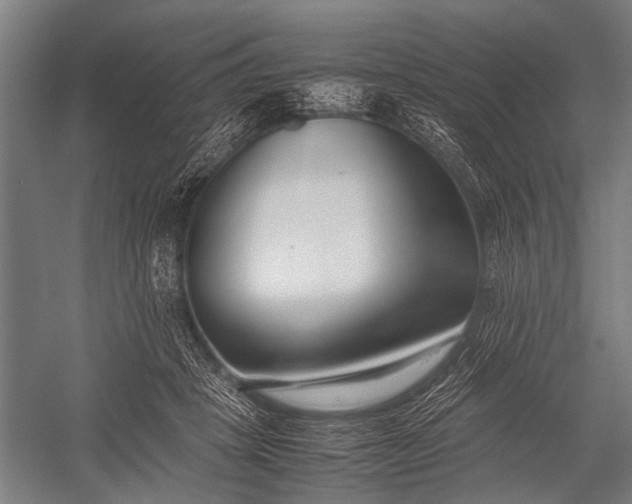 X0000053010457200507221318