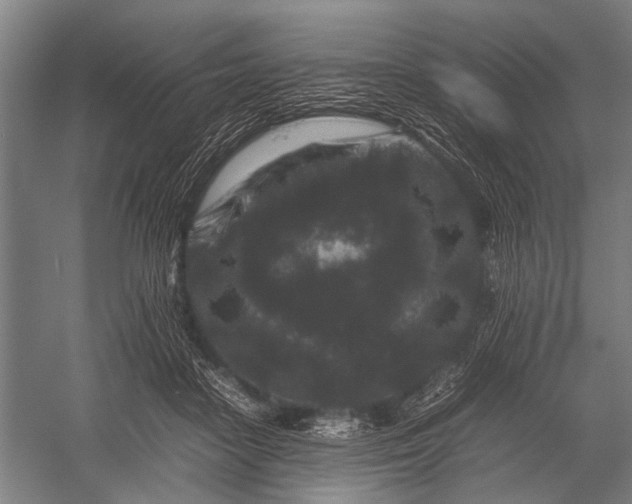 X0000053010458200507221318