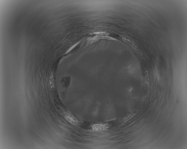 X0000053010465200507221318